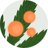 Broad Spectrum Nano Hemp