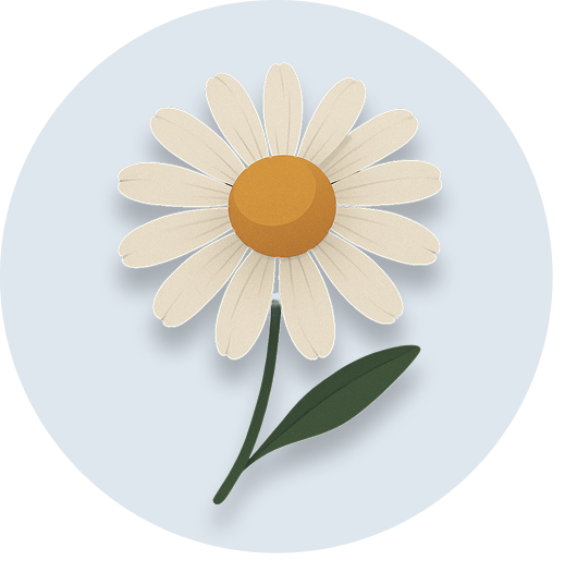 Illustration of a daisy flower on a light blue background