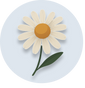Sibelius™ (Chamomile)