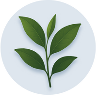 Suntheanine® (L-Theanine)