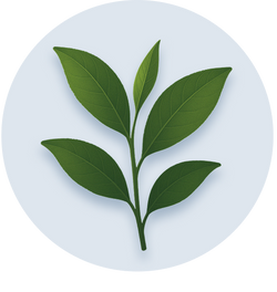 Suntheanine® (L-Theanine)